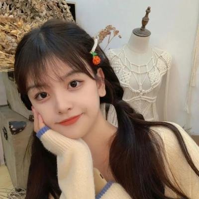 诺亚方舟漂流记2